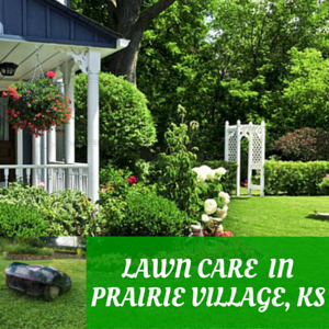 trusted lawn care company in KS