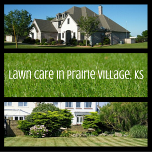 leading lawn care company in KS
